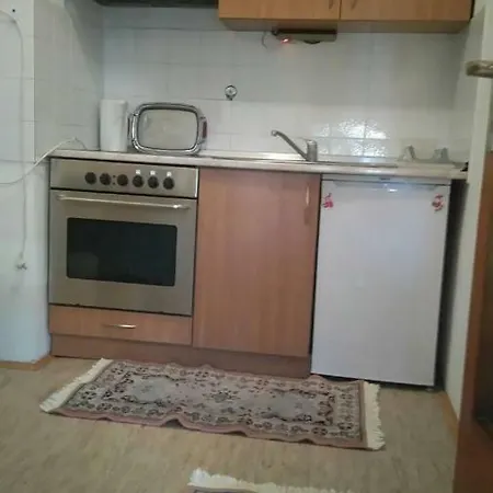 Najam Stana